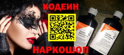 индика Шелехов