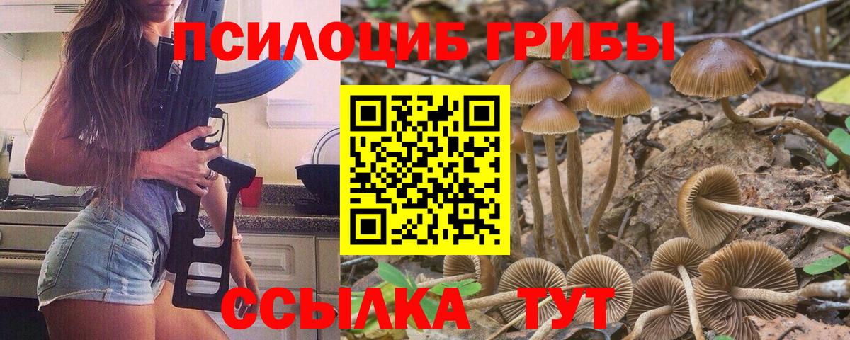 Галлюциногенные грибы GOLDEN TEACHER Надым