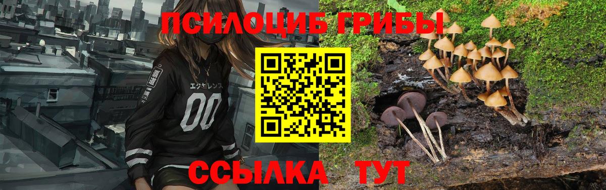 Надым  Псилоцибиновые грибы Cubensis  Псилоцибиновые грибы Magic Shrooms  Вход с VPN 